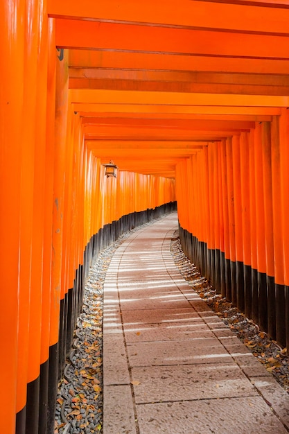 Ворота торії у Fushimi Inari