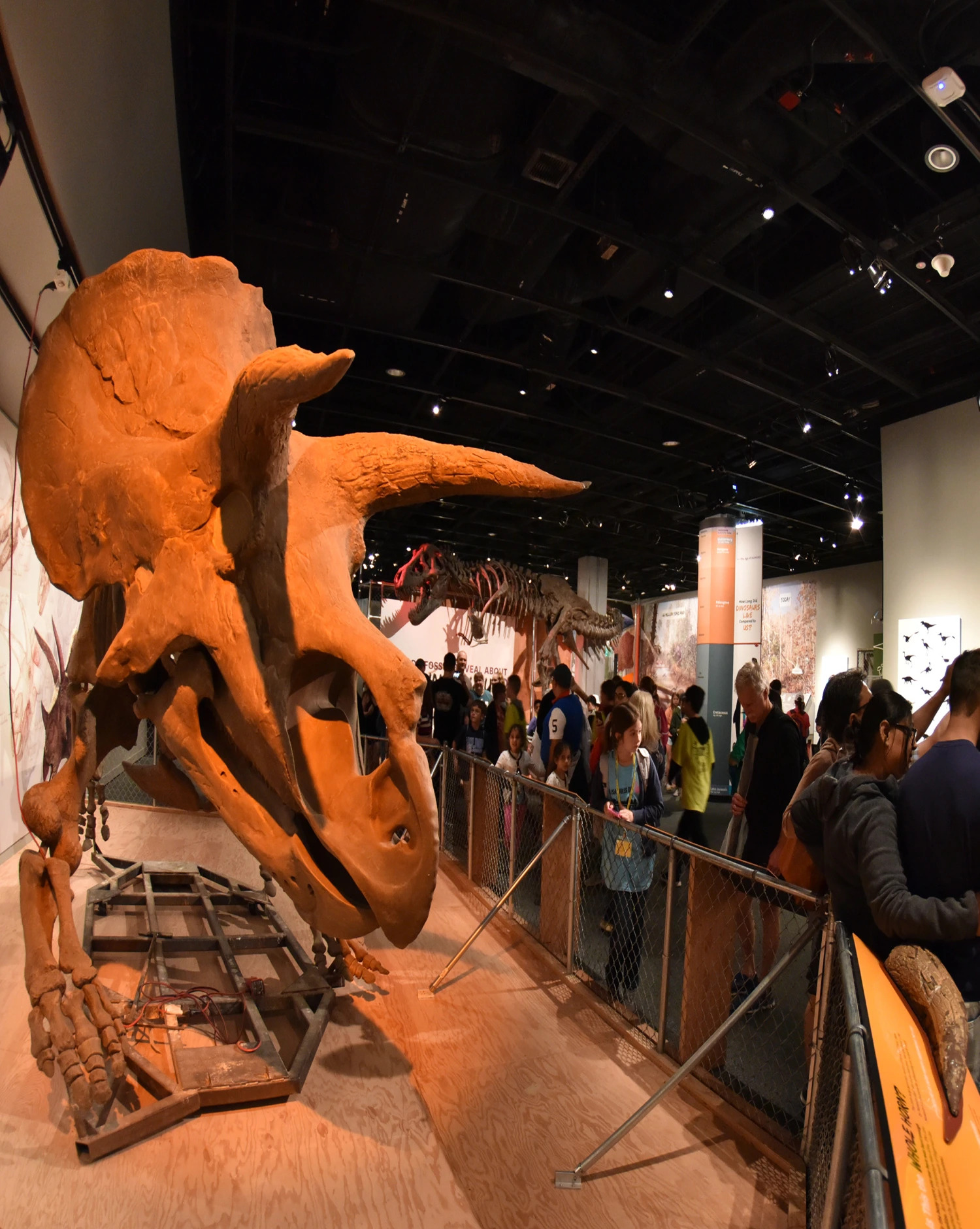 American Museum of Natural History